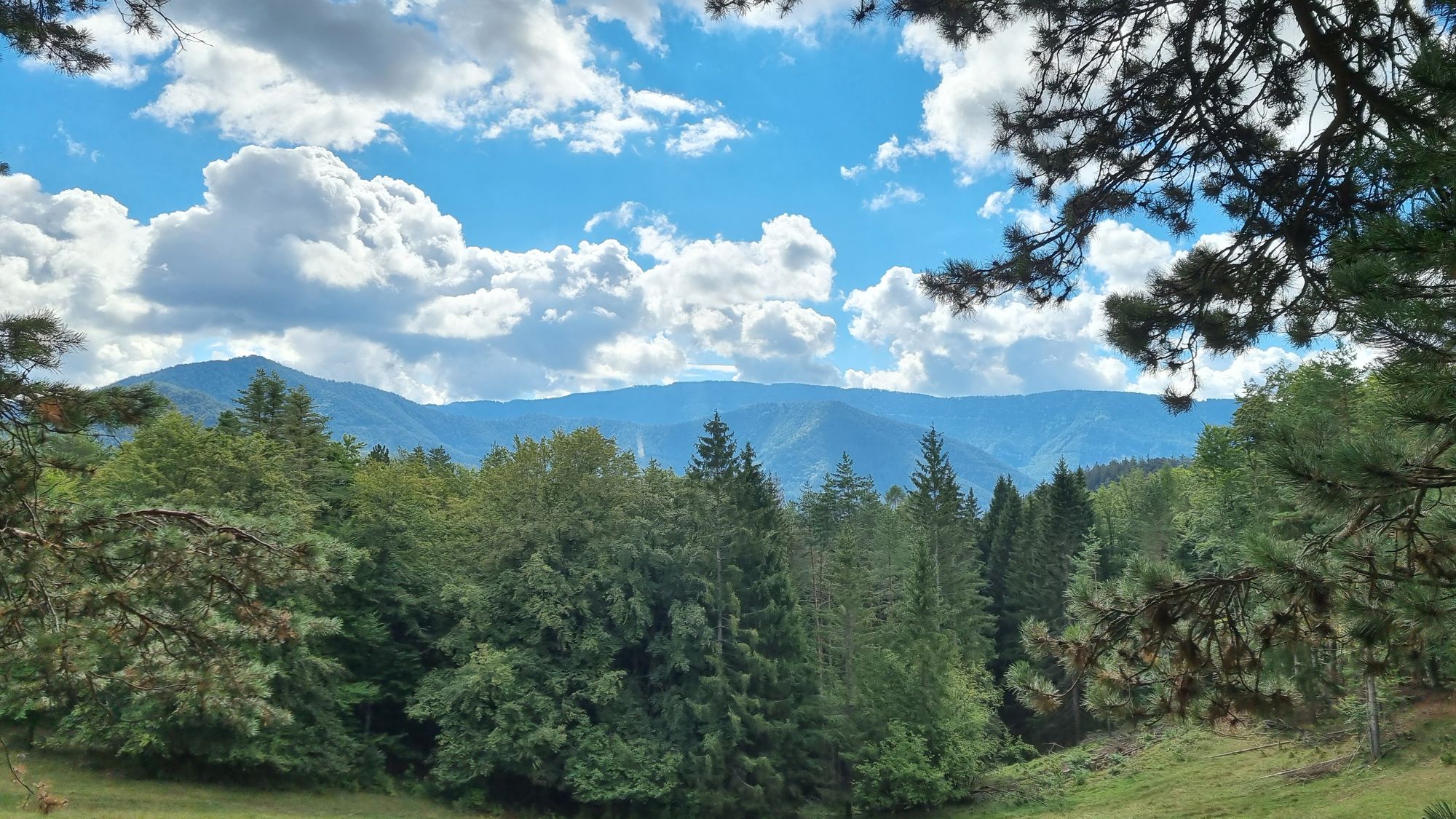 Jours 150 et 151 - Shneeberg et parc national de Gesäuse