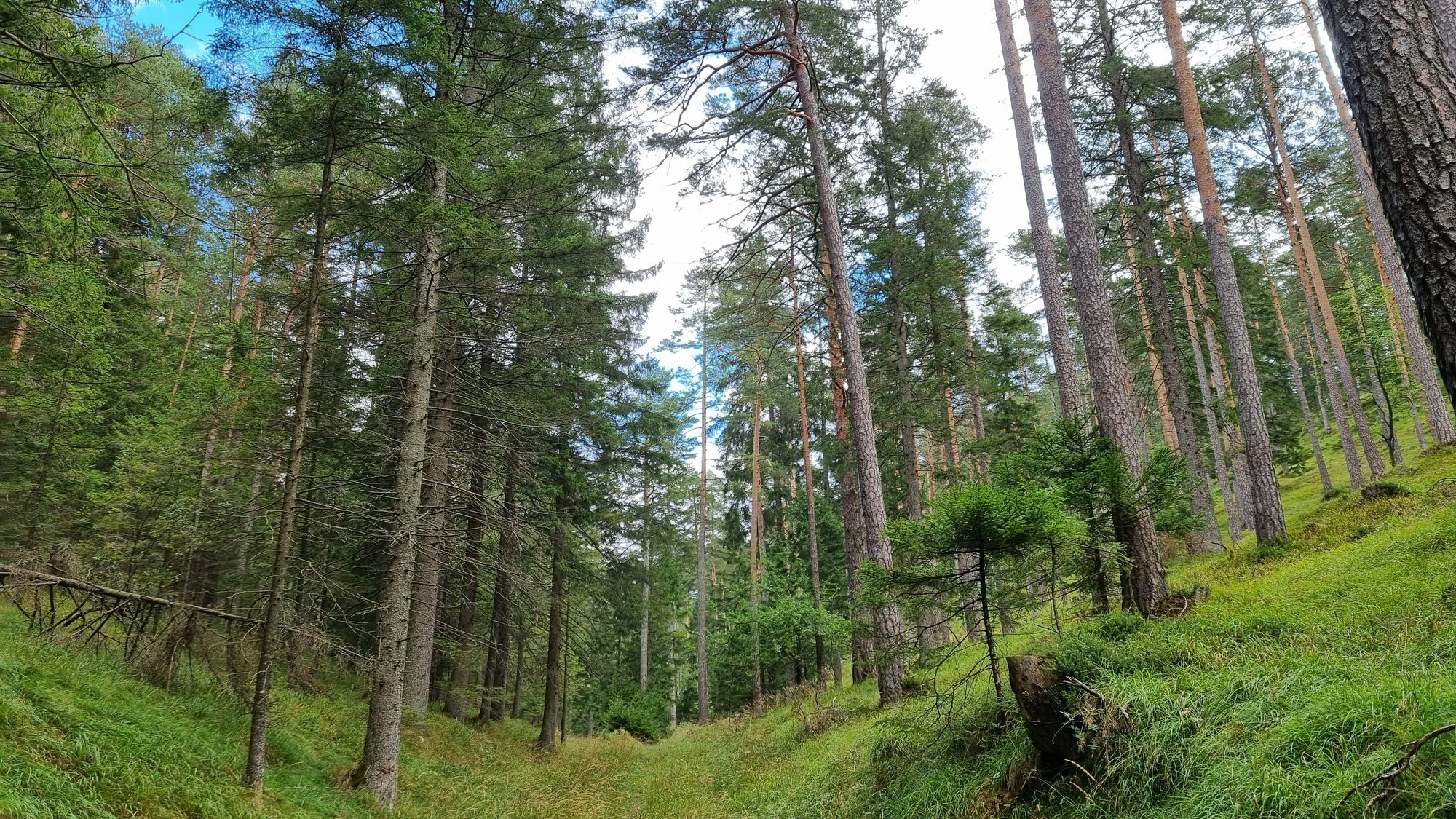 Jours 150 et 151 - Shneeberg et parc national de Gesäuse