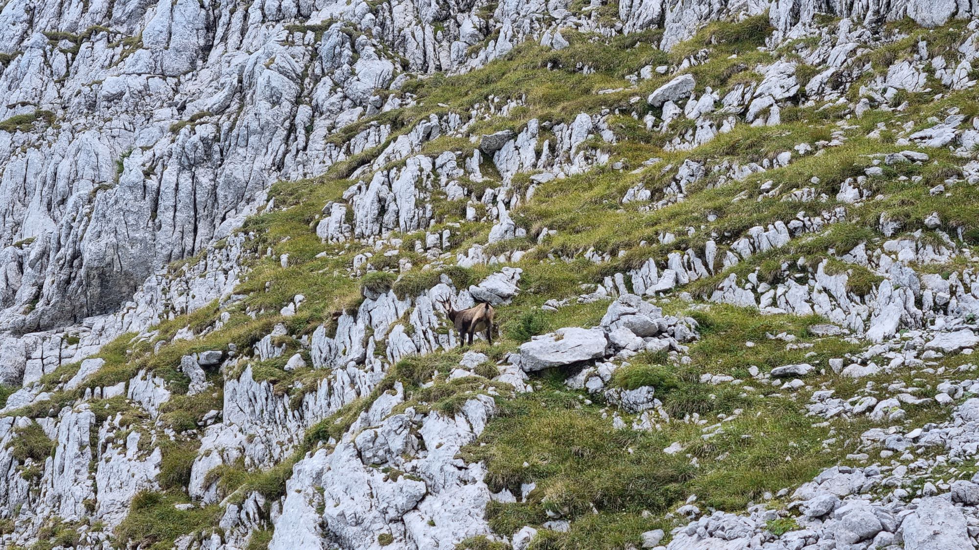 Jours 150 et 151 - Shneeberg et parc national de Gesäuse