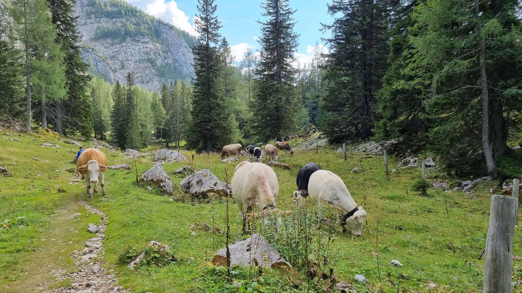 Jours 150 et 151 - Shneeberg et parc national de Gesäuse