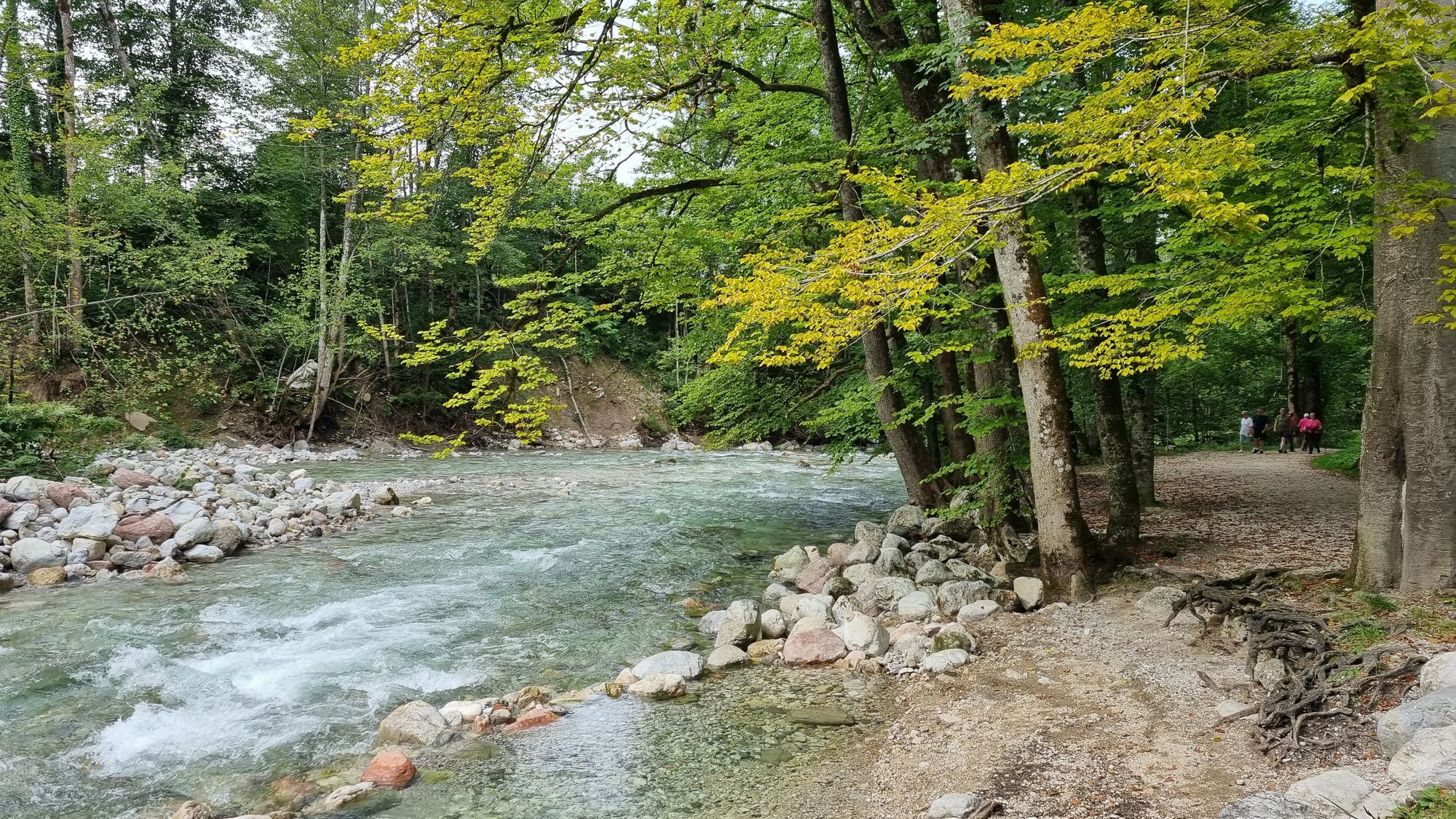 Jours 152 et 153 - Récupération et Königssee