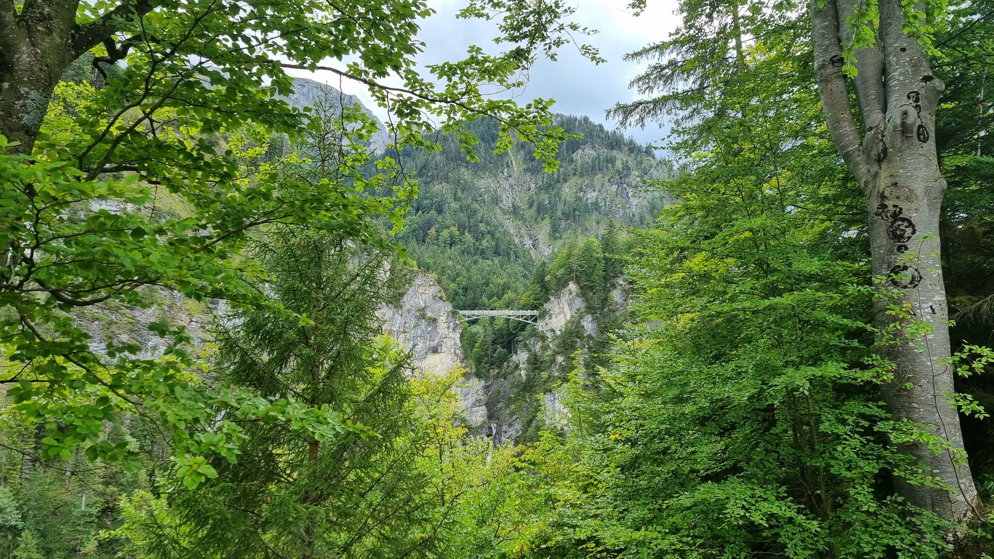 Jour 156 - Château de Neuschwanstein