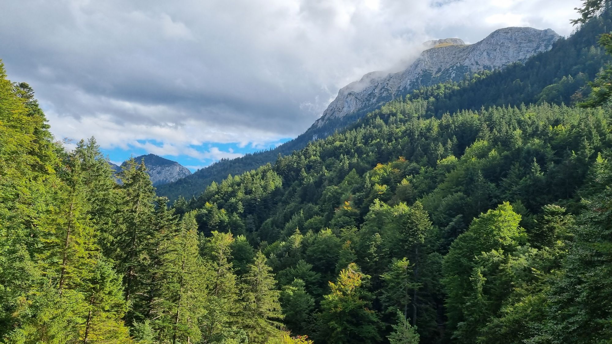 Jour 156 - Château de Neuschwanstein
