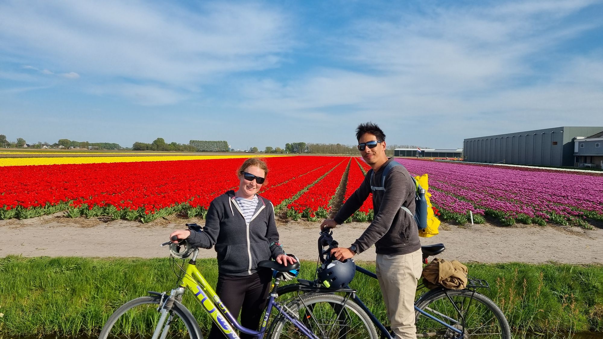 Jour 21 - Leyde et Lisse