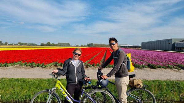 Jour 21 - Leyde et Lisse